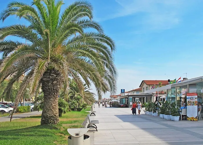 Dei Fiori By Interhome * Lido di Camaiore